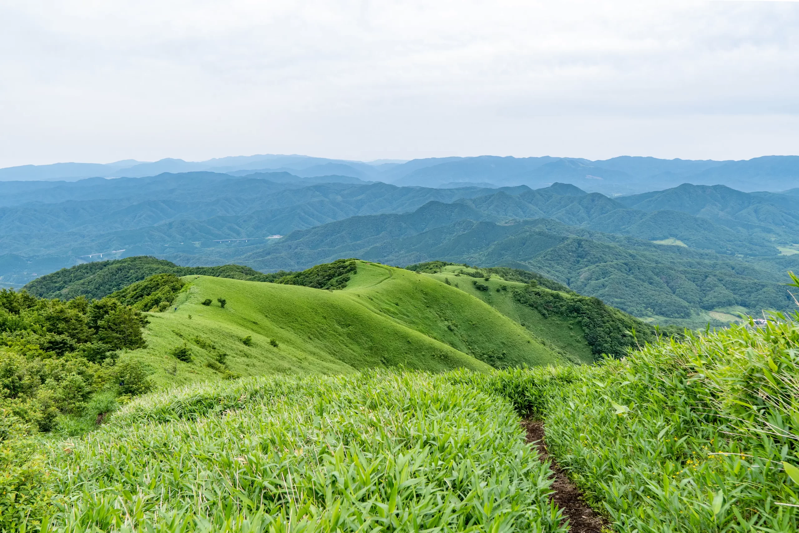 東京から岡山に活動拠点を移して9年 - 自然から学ぶ - 岡山 下蒜山