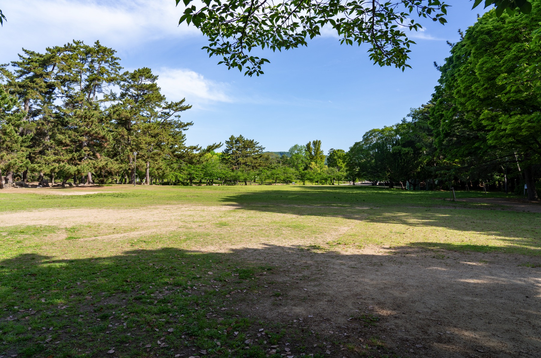 Sakazu Park Pine Grove, Kurashiki, Okayama