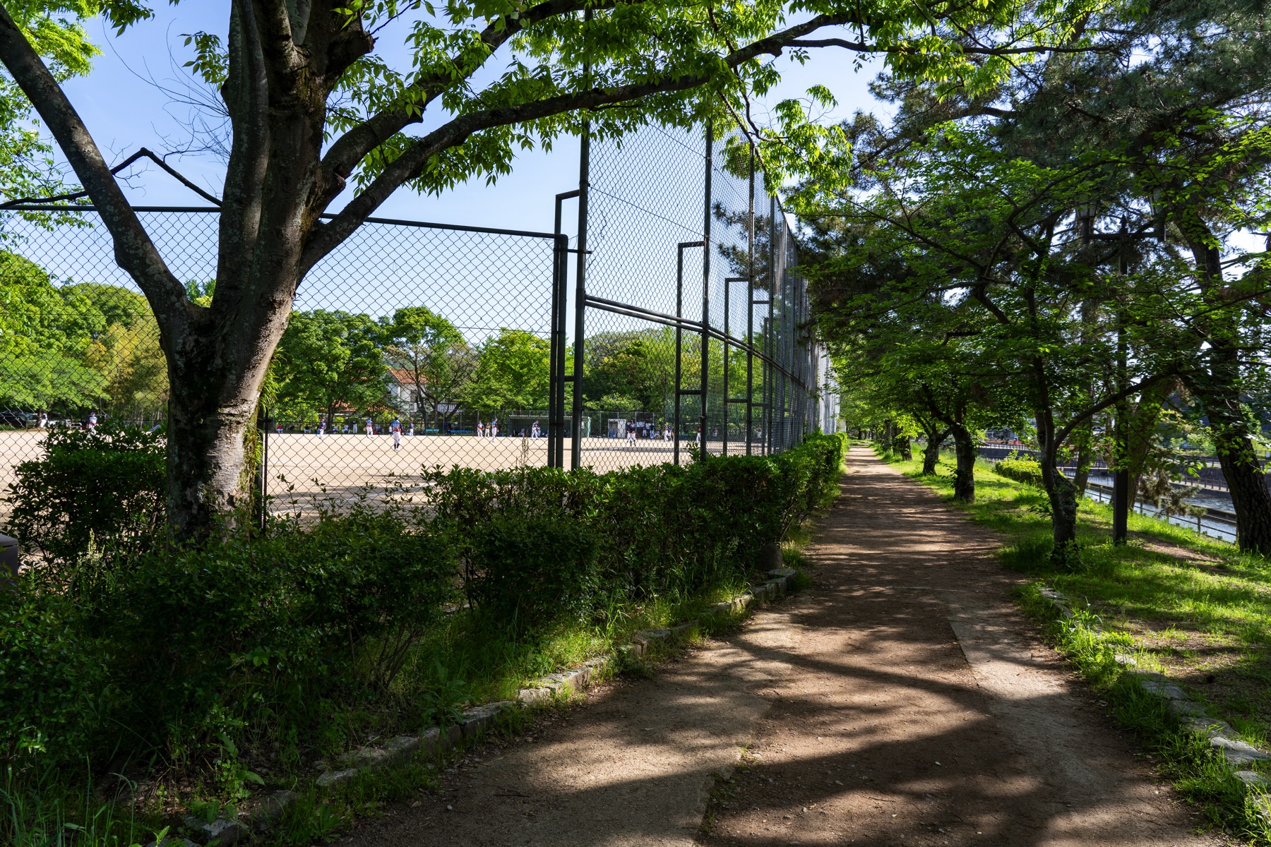Baseball Field at Sakazu Park